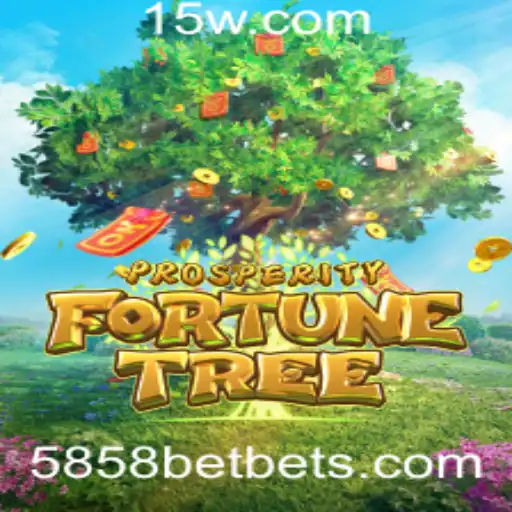 5858bet Casino App